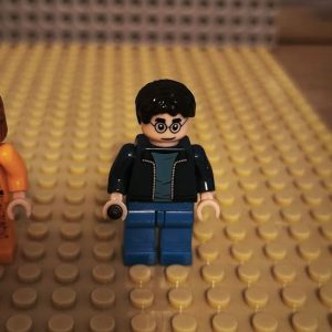 Harry Potter (76408)
