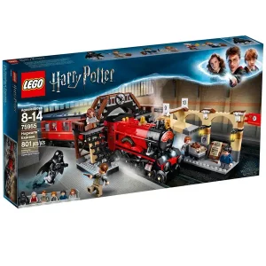 Roxfort Express (75955)