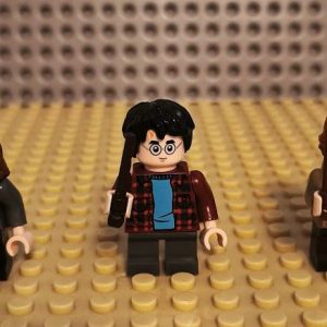 Harry Potter (75953)