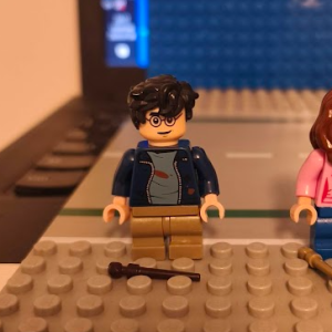 Harry Potter (76407)