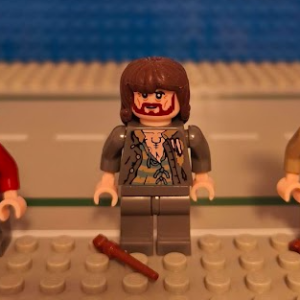 Sirius Black (76407)