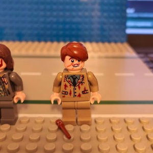 Remus Lupin (76407)